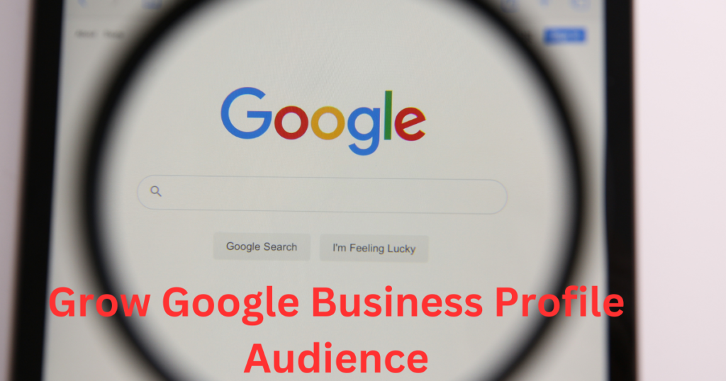 Grow Google Business Profile Audience