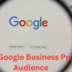 Grow Google Business Profile Audience